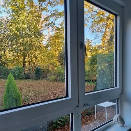 Eg-wohnung: Modern Und Gemuetlich Mit Wohnkueche, Und Wintergarten *